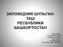 Презентация 8 класс  Шульган-таш