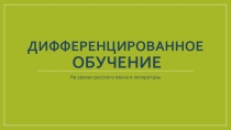 Дифференцированное обучение на уроках русского языка и литературы