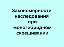 Презентация к уроку Закономерности наследования при моногибридном скрещивании
