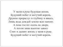 Презентация по биологии на тему Семя