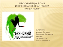 Презентация по географии Заповедник Брянский лес