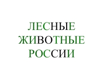 Презентация: Лесные животные России.