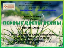 Презентация по окружающему миру Первые цветы весны (с использованием технологического приёма Экран)