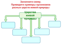 Презентация по биологии Царство Бактерии (5 класс)