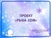 Презентация -Проект. Рыба сом