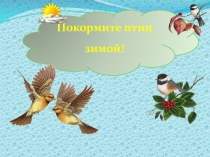 Презентация Покормите птиц зимой
