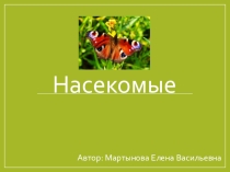 Презентация по природоведению на тему Насекомые (5 класс)