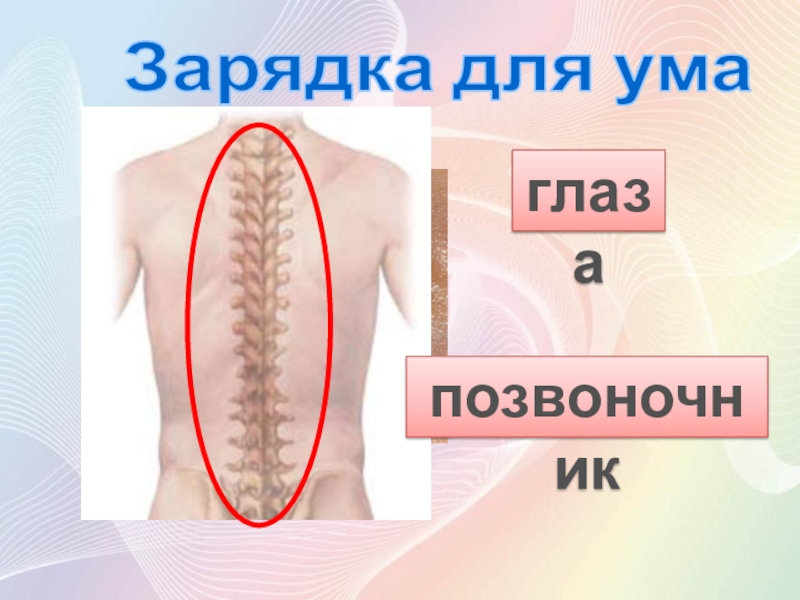 Долголетие хорошие настроение с alivmax.ru глазапозвоночникЗарядка для ума глазапозвоночникЗарядка для ума