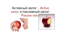 Презентация по английскому языку на тему: Активный и пассивный залог