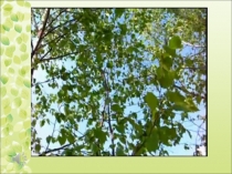 Презентация по русскому языку для 5 класса по теме Лексическое значение слова