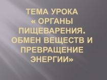 Презентация органы пищеварения и обмен веществ превращение энергии  (7 класс)