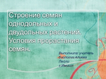 Презентация по биологии на тему строение семян(6 класс)