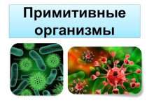Презентация по биологии Примитивные организмы (9 класс)