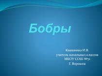 Презентация по окружающему миру Бобры