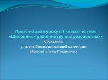 Презентация по биологии на тему Шиповник 7 класс