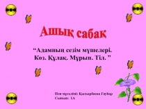 Презентация по пазнания миру Адамның сезім мүшелері