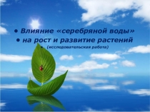 Презентация Влияние серебряной воды на рост и развитие растений (исследовательская работа)