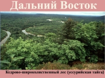 Презентация урока географии 8 класс по теме: Дальний Восток