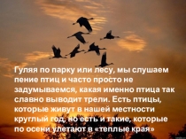 Перелетные птицы