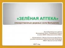 Зелёная аптека (лекарственные деревья села Белькачи).