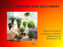 Презентация для детей старшей группы Комнатные растения