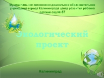 Экологический проект Удивительная жизнь растений