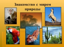 Презентация по окружающему миру о животных на тему Знакомство с миром природы