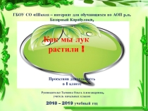 Проект практической направленности Как мы лук растили! для детей с ОВЗ.