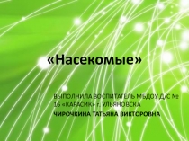 Презентация по ознакомлению с окружающим миром природы на тему Насекомые (подготовительная группа)