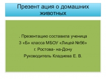 : Домашние животные.