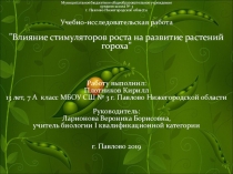 Презентация учебно-исследовательской работы по биологии на тему: Влияние стимуляторов роста на развитие растений гороха.