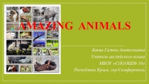 Методическая разработка урока английского языка по теме Удивительные животные