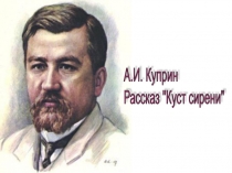 Презентация к уроку изучения рассказа А.И. Куприна Куст сирени