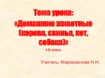Презентация по предмету окружающий природный мир на тему Домашние животные корова, свинья, кот, собака