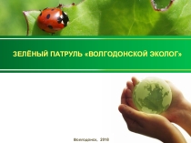 Презентация в рамках проекта:  Сделаем вместе