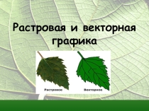 Презентация по информатике на тему Растровая графика (9 класс)