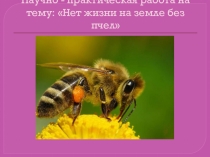 Презентация Нет жизни на земле без пчел