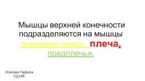 Презентация по Анатомии и физиологии человека на тему Мышцы верхней конечности