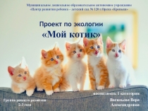 Проэкт по экологии Мой котик