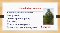 Презентация по русскому языку на тему Безударные гласные (1 класс)