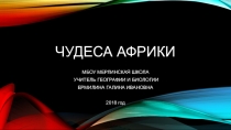 Чудеса Африки