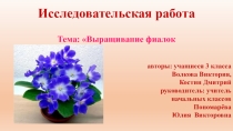 Презентация Как вырастить фиалку