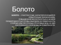 Болота России