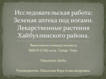 Лекарственные растения Хайбуллинского района