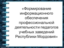Формирование информационного обеспечения профессиональной деятельности педагогов учебных заведений Республики Мордовия