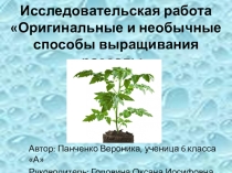 Презентация Исследовательская работа: Оригинальные и необычные способы выращивания рассады