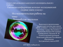 Презентация по научно-исследовательской работе Мыльные пузыри