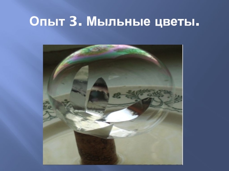 Презентация по научно-исследовательской работе Мыльные пузыри Опыт 3. Мыльные цветы. Опыт 3. Мыльные цветы.