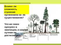 Презентация к уроку по естествознанию на тему Биологический прогресс и биологический регресс