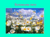 Презентация по внеурочной деятельности Вспомним лето